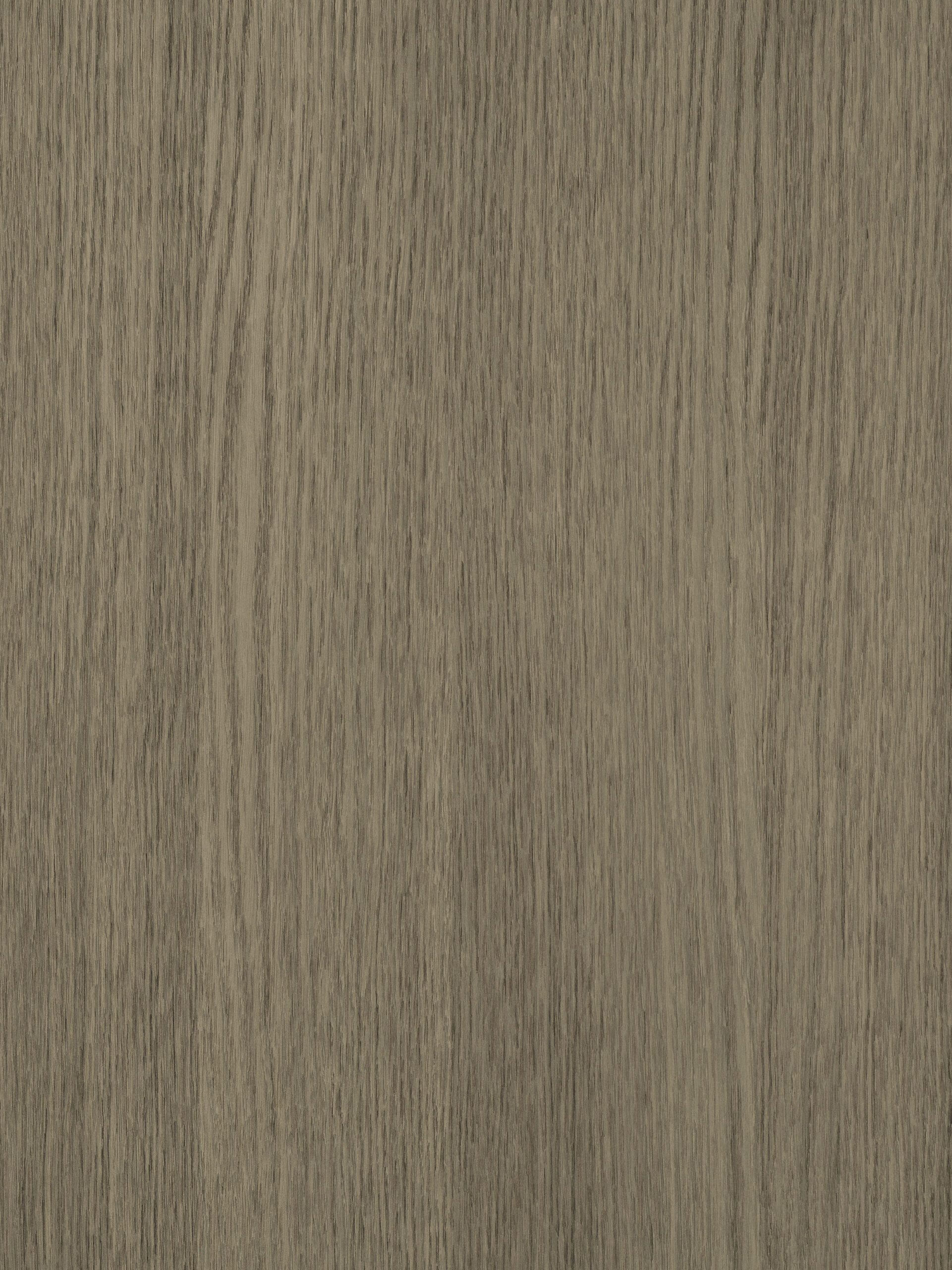 01.06.004370 لوح ايطالي S184 San Bartolo Quercia 18x2800x2070 CLEAF - Image 1