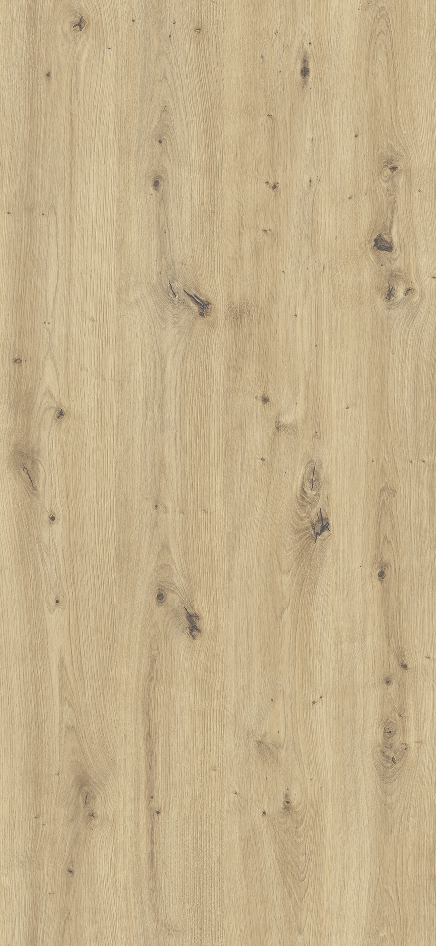 01.08.005122 لوح خشب مضغوط أوروبي Falco Y668-FS26 Wallpole Oak - Image 1